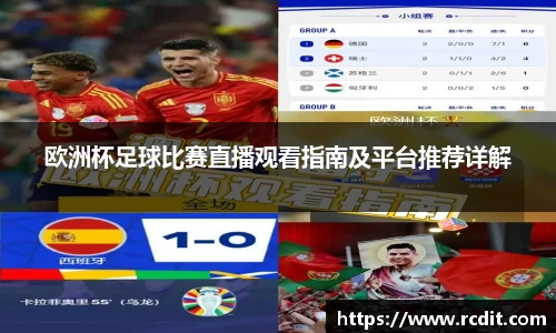 欧洲杯足球比赛直播观看指南及平台推荐详解